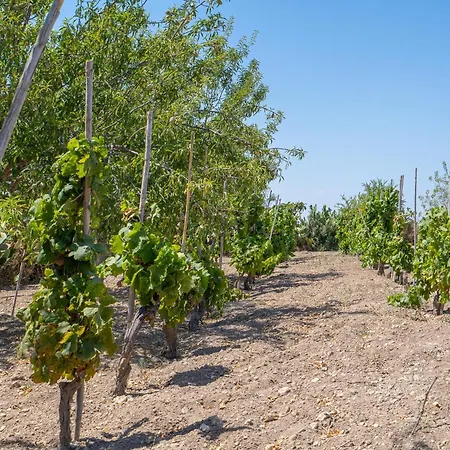Casa Fenicottero Longarini